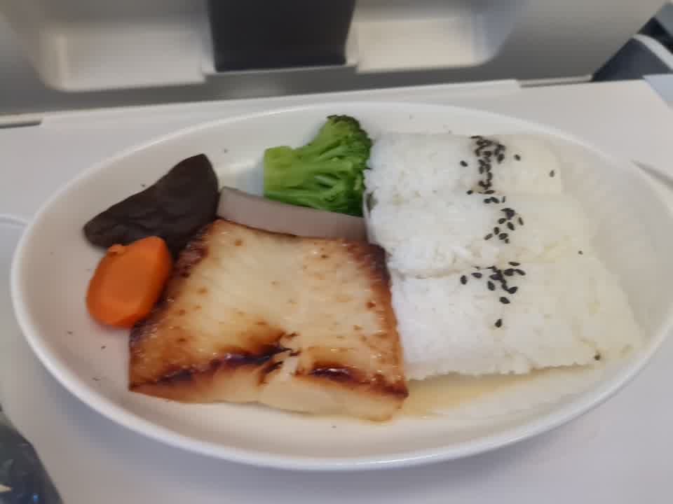 Fisch mit Reis im Flug.