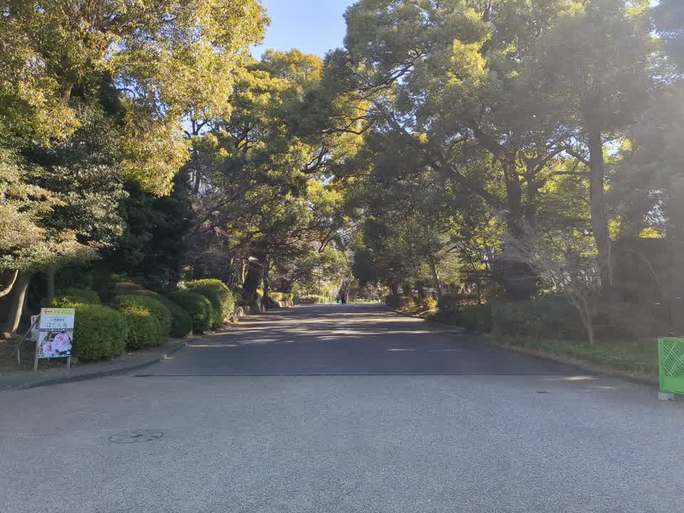 Blick aus Richtung Wassertempel